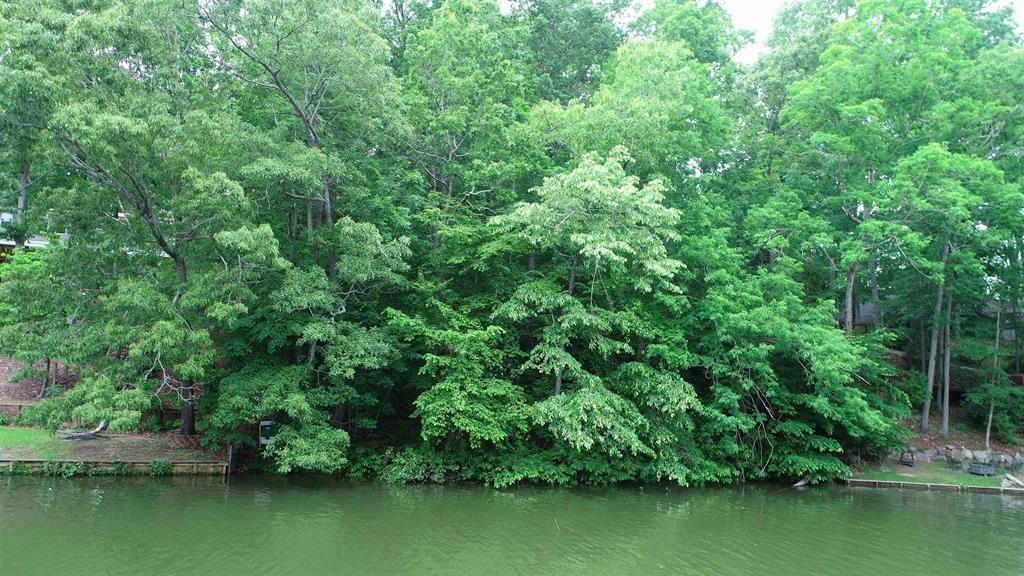 119 BLUEGILL RUN, EATONTON, GA 31024, photo 1 of 22